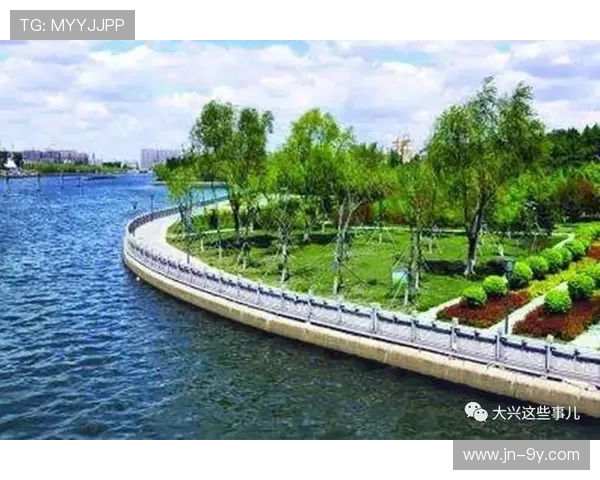 以沧州雄安新区足球推动区域体育融合与城市活力提升路径探析